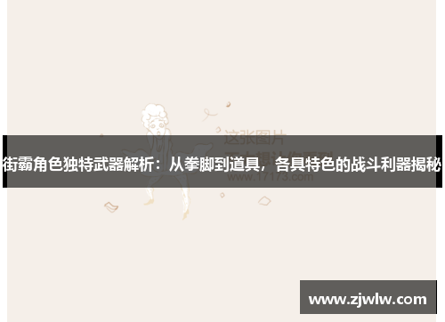 街霸角色独特武器解析：从拳脚到道具，各具特色的战斗利器揭秘