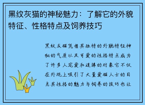 黑纹灰猫的神秘魅力：了解它的外貌特征、性格特点及饲养技巧